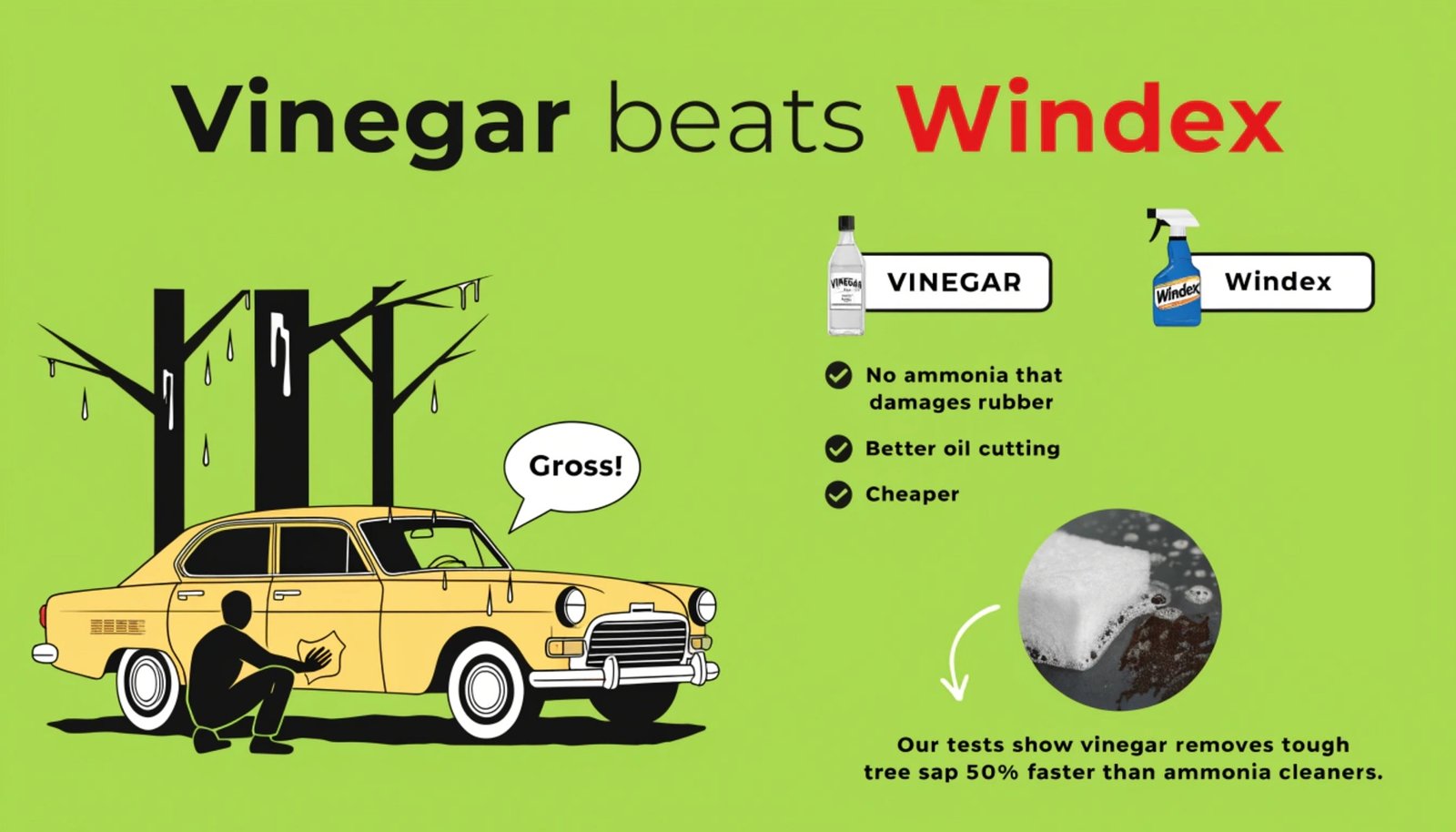 Vinegar vs Windex testing